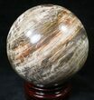 Colorful Petrified Wood Sphere #20601-1